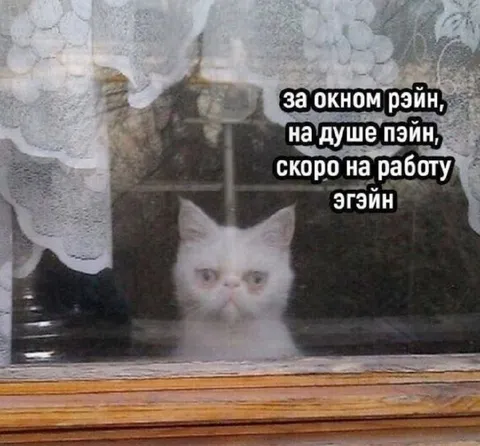 За окном рэйн, на душе пэйн