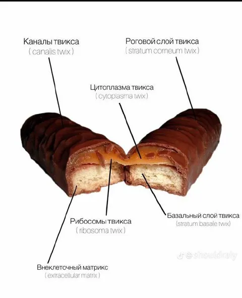 Анатомия батончика Twix