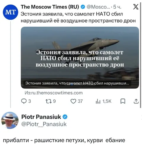 Эстонский дрон и самолёт НАТО