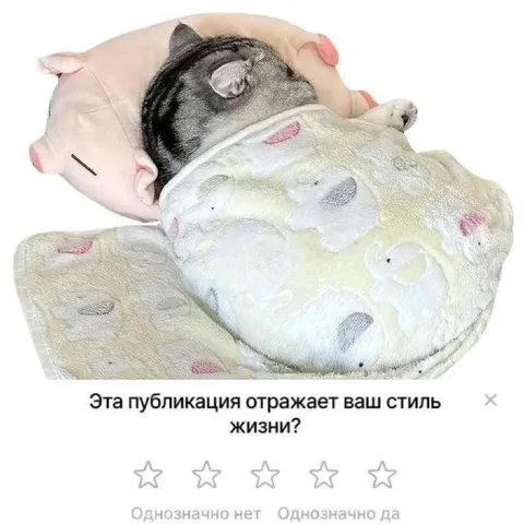 Публикация отражает стиль жизни