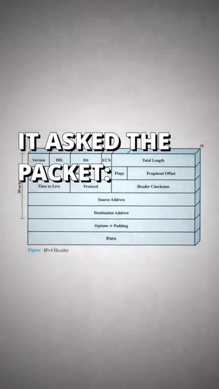 Network Protocol Zero