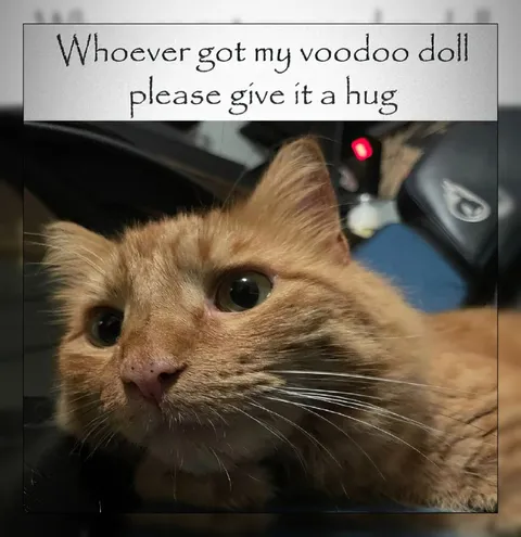 Voodoo Doll Hug Cat