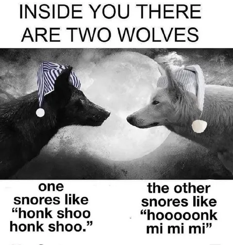 Two Wolves Snoring Differently