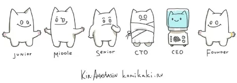 Cat Startup Career Ladder