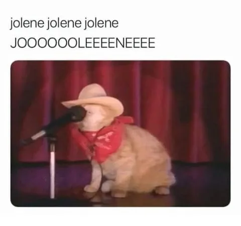 Cat Sings Jolene