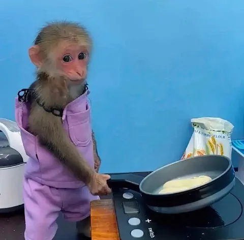 Обезьянка готовит блинчики