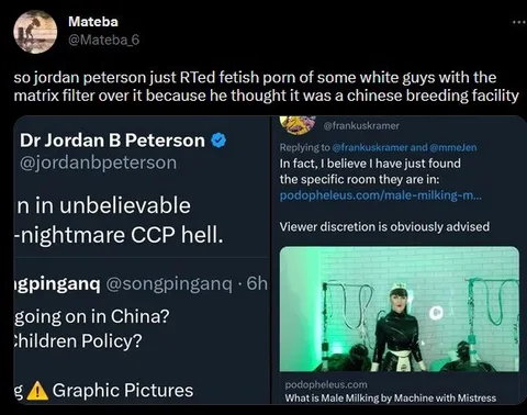 Jordan Peterson Misreads Fetish Porn