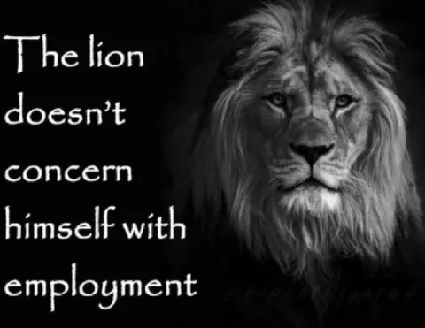 Lion Doesn't Concern Himself With Employment