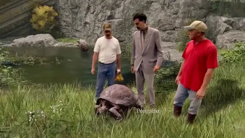 Dog Appraisal Turtle