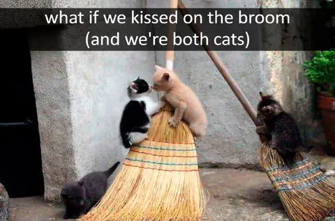 Cats Kissing on a Broom