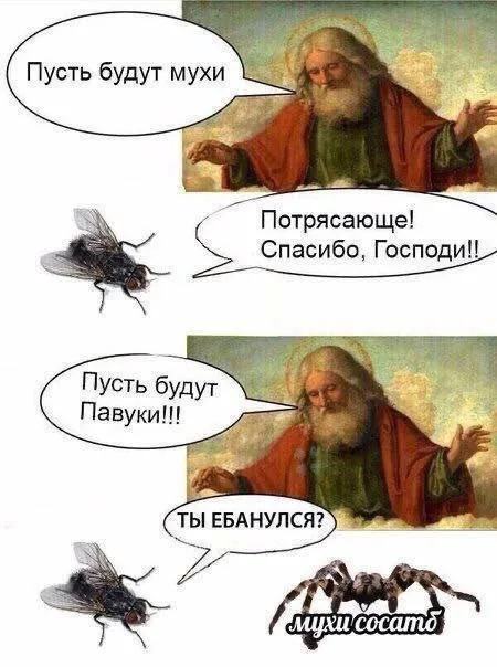 Пусть будут мухи и пауки