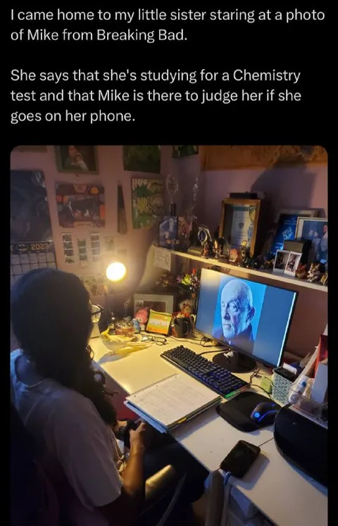 Little Sister Studying with Mike