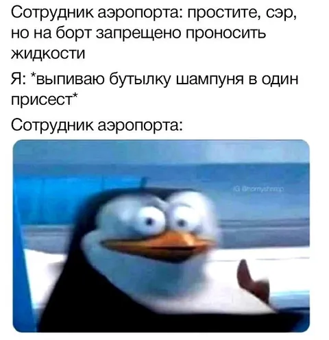 Выпиваю шампунь в аэропорту