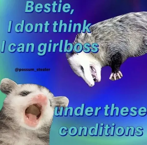Possum Can't Girlboss