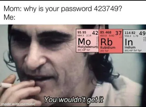 You Wouldn't Get It Password