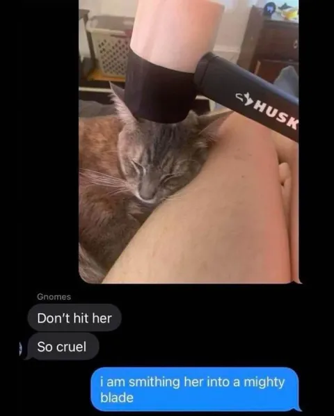 Smithing the Cat Into a Blade