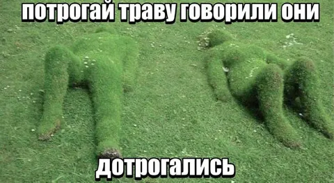 Потрогай траву — дотрогались