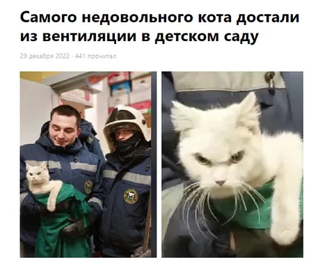 Недовольного кота достали из вентиляции