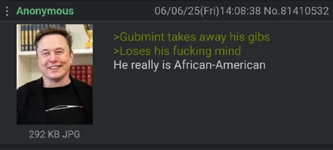 Elon Musk Loses His Gibs