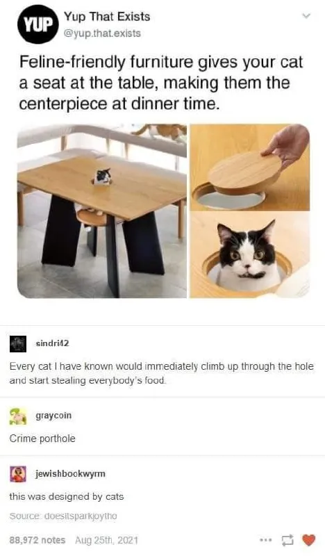 Cat Table Crime Porthole