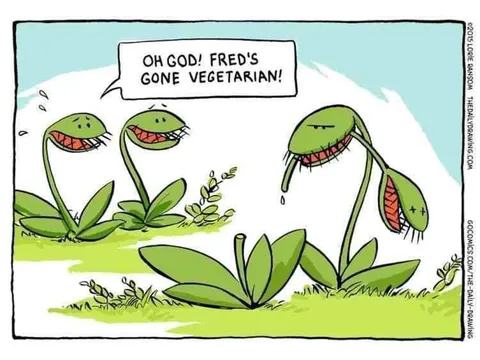 Fred Goes Vegetarian
