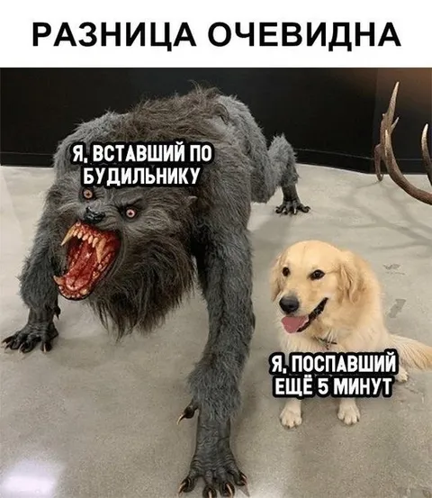 Разница между подъёмом и сном