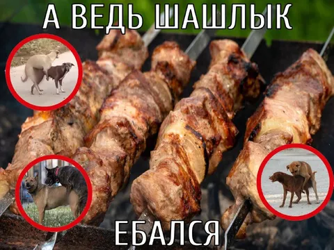 А ведь шашлык ебался