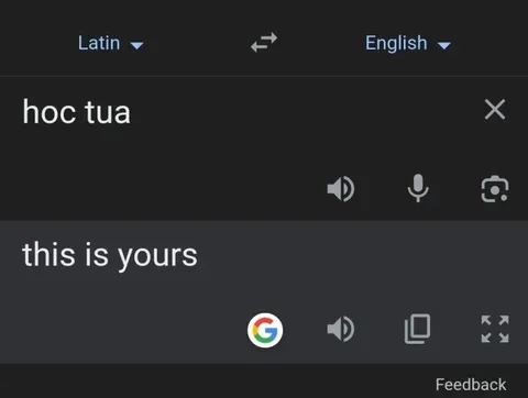 This Is Yours Translation