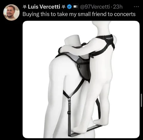 Small Friend Concert Carrier