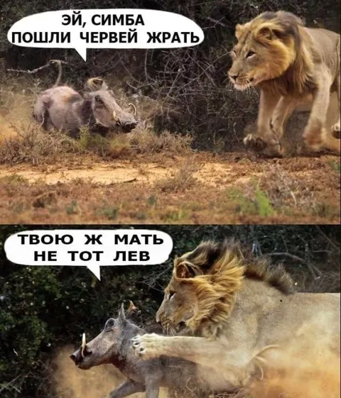 Симба пошёл жрать червей