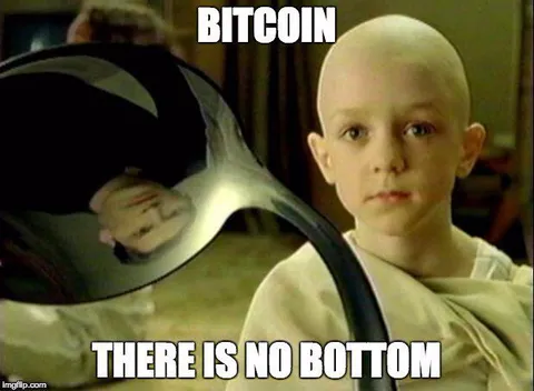 Bitcoin Has No Bottom