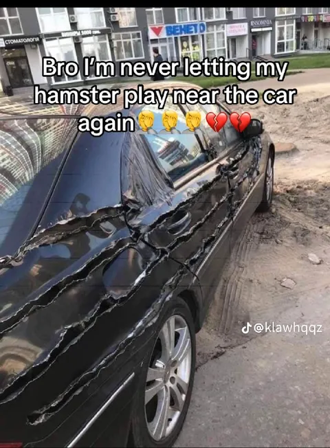 Hamster Damages the Car