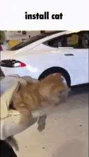 Install Cat Under Car