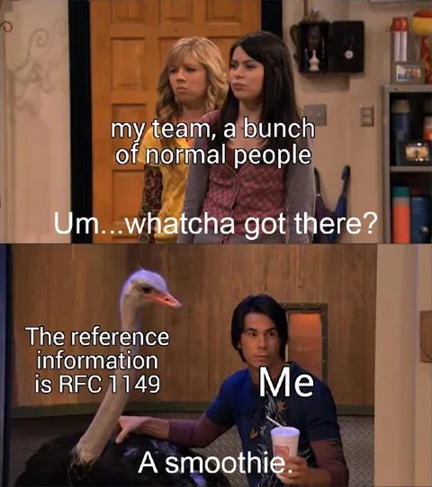 RFC 1149 Team Reaction