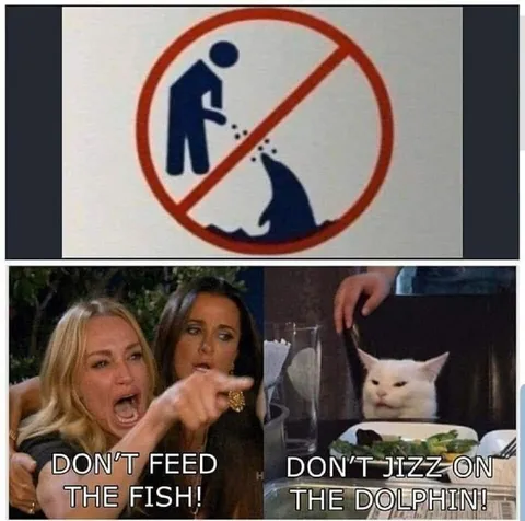 Don't Jizz on the Dolphin
