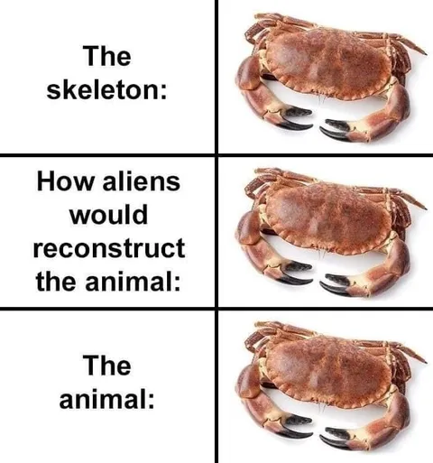 Alien Crab Reconstruction