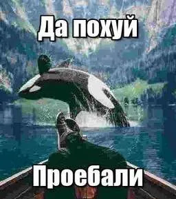 Да похуй, проебали