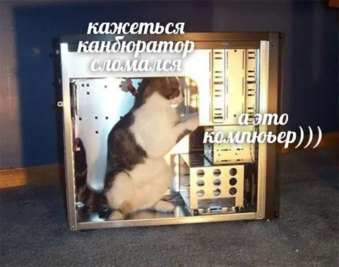Кот чинит компьютер