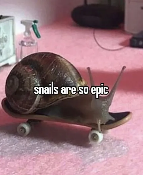 Epic Snail on a Skateboard