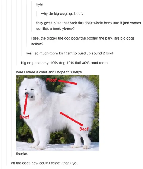 Big Dog Anatomy Boof Chart