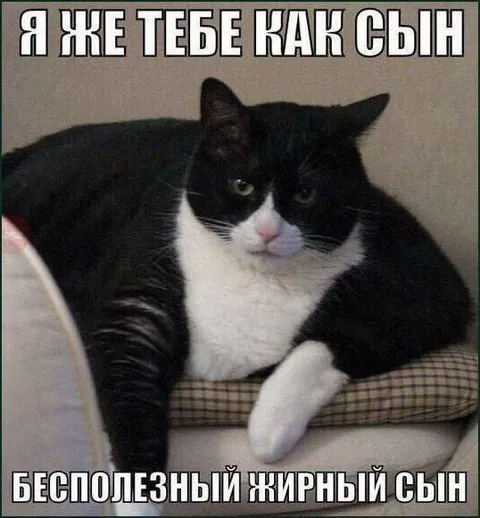Бесполезный жирный сын
