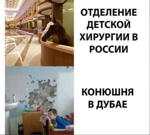 Детская хирургия и конюшня в Дубае