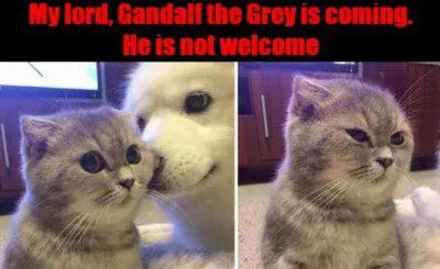 Gandalf Is Not Welcome