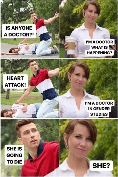 Doctor in Gender Studies