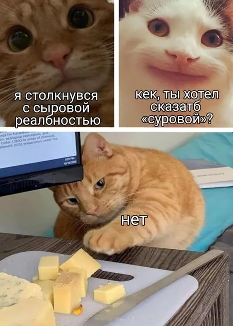 Сыровая реальность