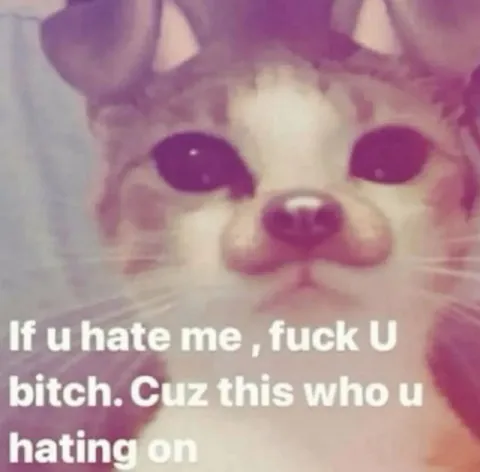If You Hate Me Fuck You Cat