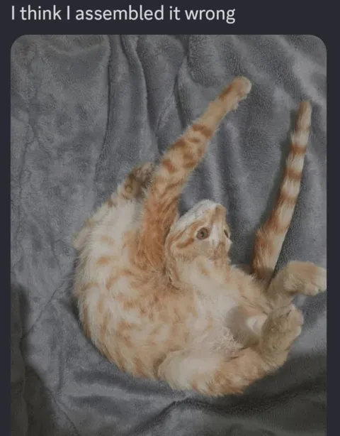 I Think I Assembled It Wrong