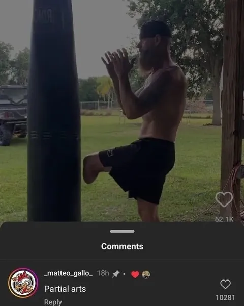 Partial Arts Punching Bag
