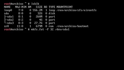 Installing Arch Through Family Chaos