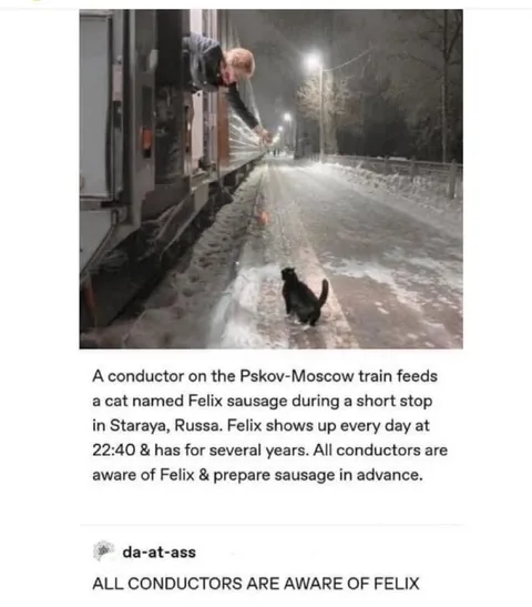 Felix Meets Every Train